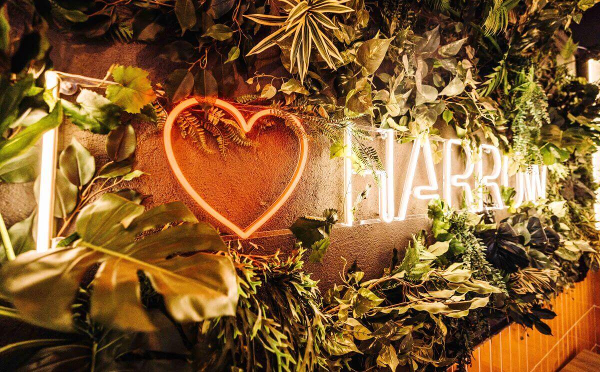 Unleash your creativity with custom aesthetic neon signs Unleash your creativity with custom aesthetic neon signs